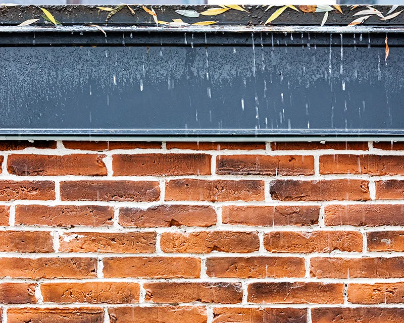 Water Repellents